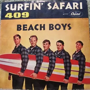 Surfin' safari